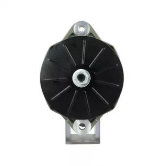 Alternateur BV PSH 645.050.110.030