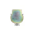 Alternateur BV PSH 646.001.060.510 - Visuel 3