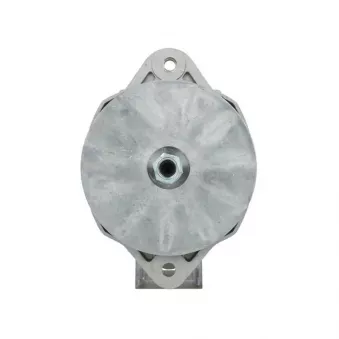 Alternateur BV PSH 646.001.100.030