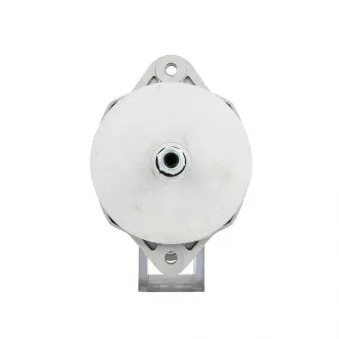Alternateur BV PSH 646.002.075.030
