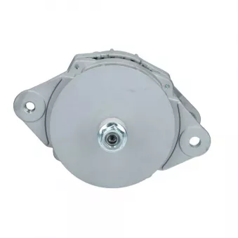 Alternateur BV PSH 646.003.070.038