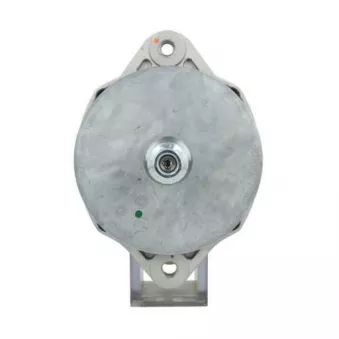 Alternateur BV PSH 646.013.100.390