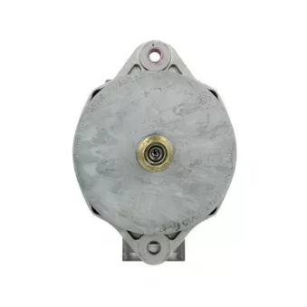 Alternateur BV PSH 646.028.060.390