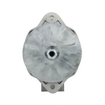 Alternateur BV PSH 646.030.095.030