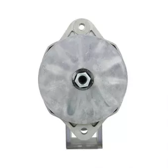 Alternateur BV PSH 646.031.060.030