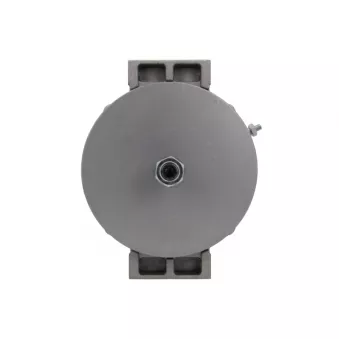 Alternateur BV PSH 646.032.150.050