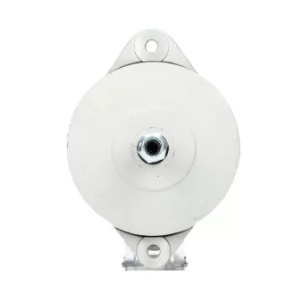 Alternateur BV PSH 646.033.080.010