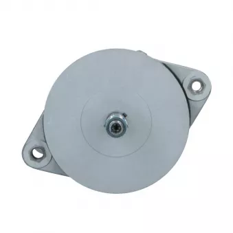 Alternateur BV PSH 646.033.080.018