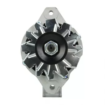 Alternateur BV PSH 646.034.050.130