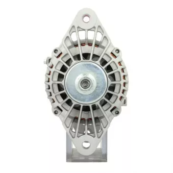 Alternateur BV PSH 646.050.110.390