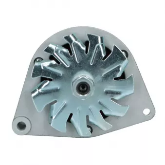 Alternateur BV PSH 695.001.033.098