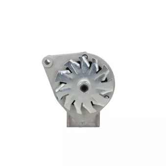 Alternateur BV PSH 695.001.033.099