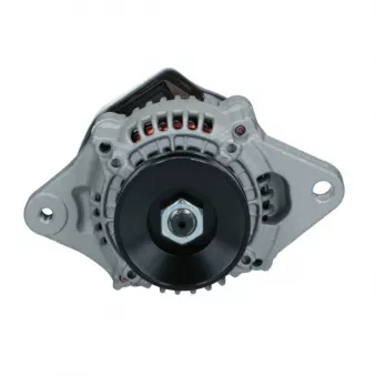 Alternateur BV PSH 695.502.040.058
