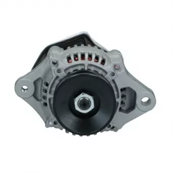 Alternateur BV PSH 695.505.040.058