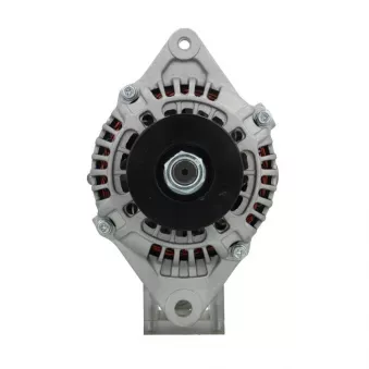 Alternateur BV PSH 695.530.080.130
