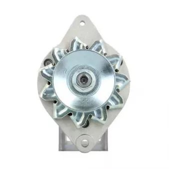 Alternateur BV PSH 705.001.033.311