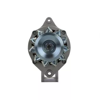 Alternateur BV PSH 705.003.065.313
