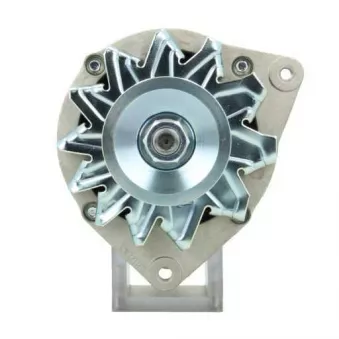 Alternateur BV PSH 705.011.080.310