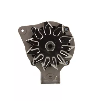 Alternateur BV PSH 705.024.120.090