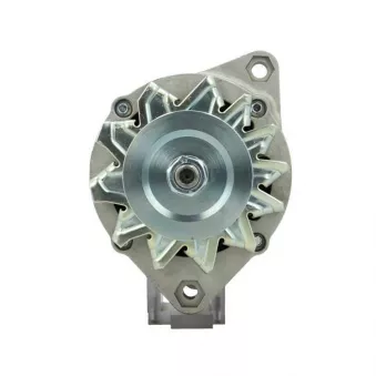Alternateur BV PSH 755.003.065.311