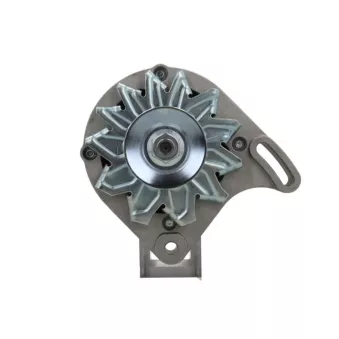 Alternateur BV PSH 755.005.065.311