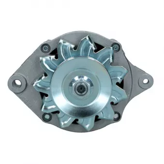 Alternateur BV PSH 765.002.065.312