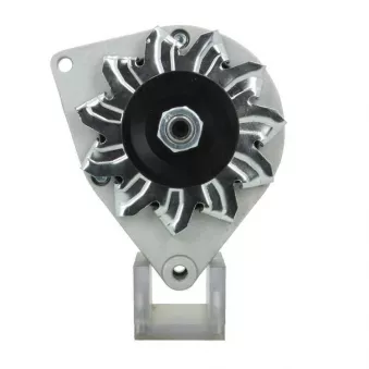 Alternateur BV PSH 785.001.033.090