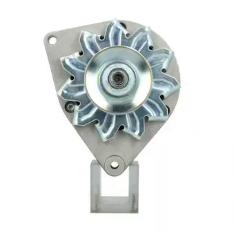 Alternateur BV PSH 785.001.033.311