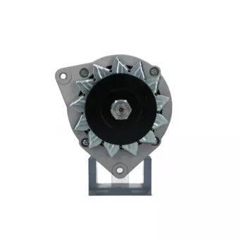 Alternateur BV PSH 805.005.065.090