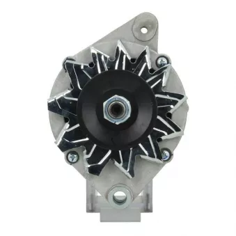 Alternateur BV PSH 815.023.055.010