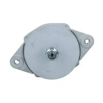 Alternateur BV PSH 835.020.145.038