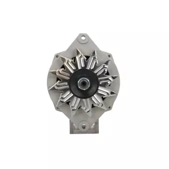Alternateur BV PSH 835.047.100.030