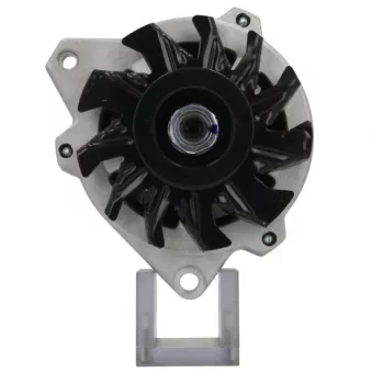 Alternateur BV PSH 835.049.100.030