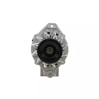 Alternateur BV PSH 835.068.080.088
