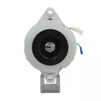 Alternateur BV PSH 836.002.050.200
