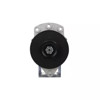 Alternateur BV PSH 860.004.090.058