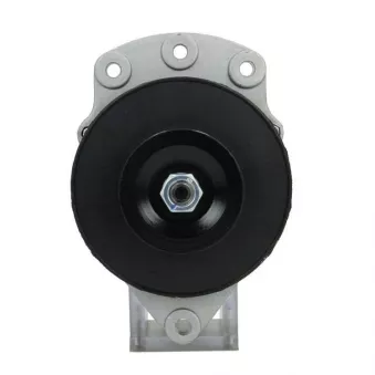 Alternateur BV PSH 866.000.055.100
