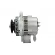 Alternateur BV PSH 946.001.025.710 - Visuel 2