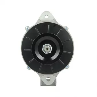 Alternateur BV PSH 946.003.075.200
