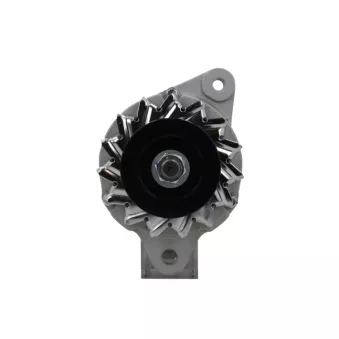 Alternateur BV PSH 946.023.025.140