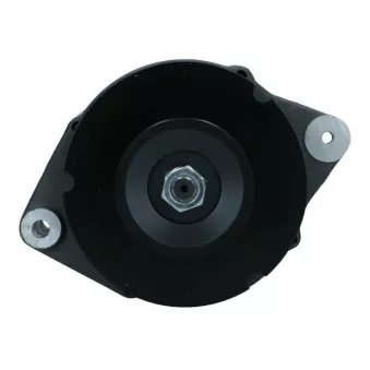 Alternateur BV PSH 975.001.065.208