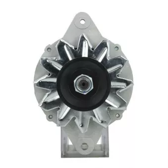Alternateur BV PSH 985.003.055.080
