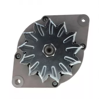 Alternateur BV PSH 995.002.065.018