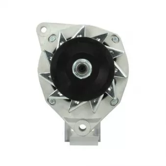 Alternateur BV PSH 995.005.070.000
