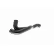 Tuyau, ventilation de carter-moteur VAICO V10-0796 - Visuel 1