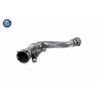 Tuyau d'admission, alimentation d'air VAICO V10-2506