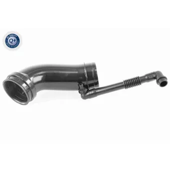 Tuyau d'admission, alimentation d'air VAICO V10-2507