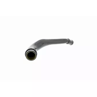 Tuyau, ventilation de carter-moteur VAICO V10-2524