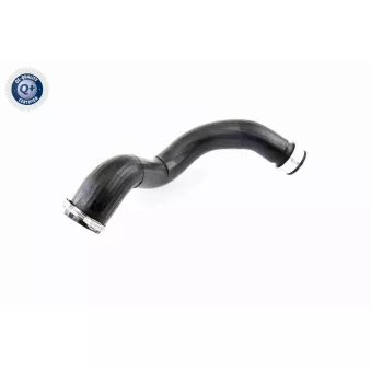 Gaine de suralimentation VAICO V10-2879