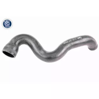 Gaine de suralimentation VAICO V10-2912